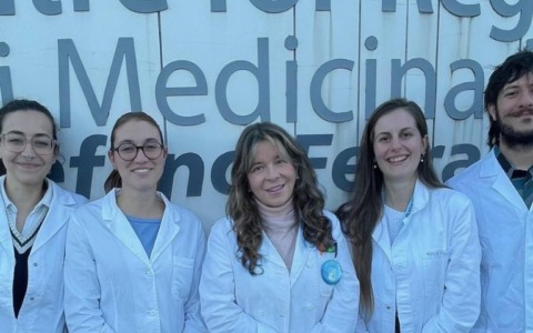 Fibrosi del midollo osseo: speranze da una nuova possibile terapia da Unimore