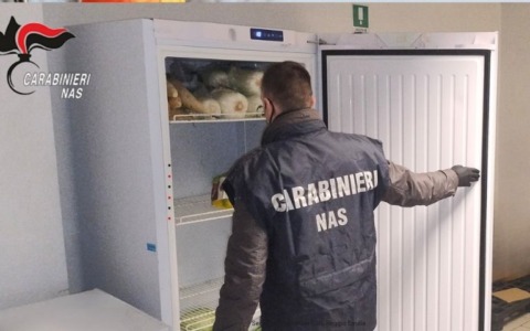 Dai Nas di Parma sanzioni per migliaia di euro nei controlli del periodo natalizio