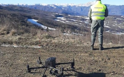 Bracconaggio nelle colline di Zocca: ucciso un daino