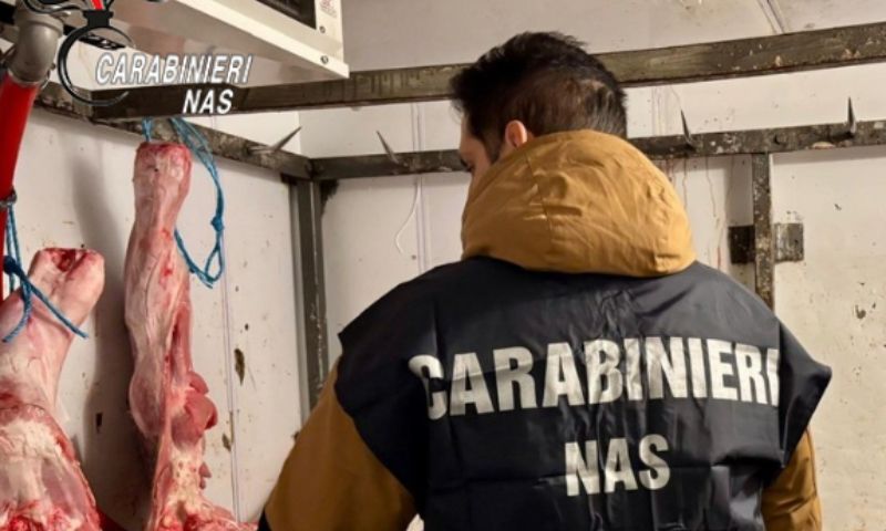 Sequestrata carne scaduta e senza rintracciabilità  nella bassa modenese