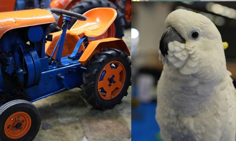 WOW! Modena: un fine settimana per le famiglie