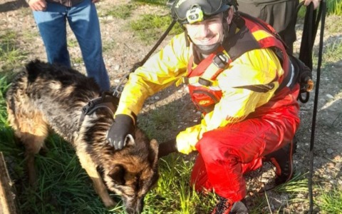 Cane scivola in un canale irriguo e non riesce più a risalire: salvato dai vigili del fuoco