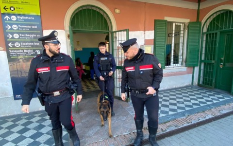 Trovato hashish nelle zone adiacenti agli Istituti scolastici