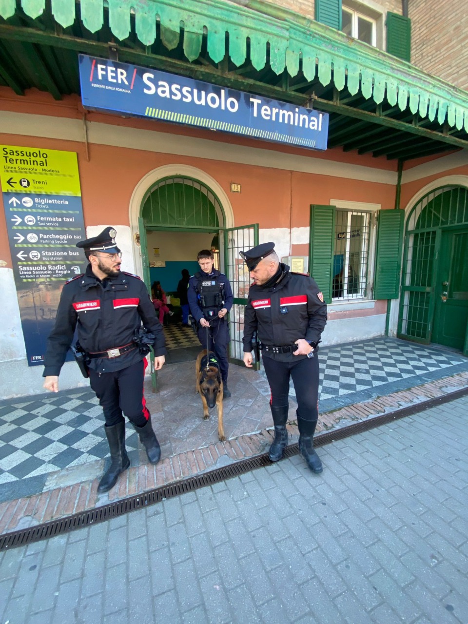 Trovato hashish nelle zone adiacenti agli Istituti scolastici