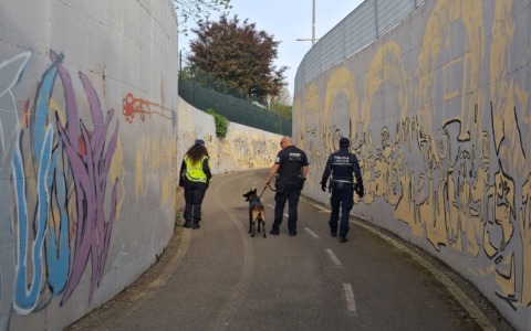 Sicurezza, controlli con l’Unità cinofila di System Sicurezza