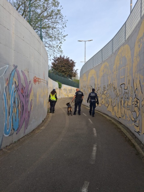 Sicurezza, controlli con l’Unità cinofila di System Sicurezza