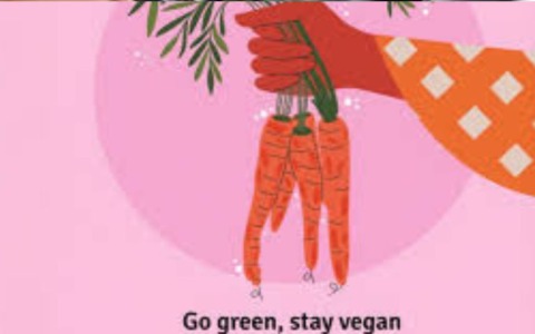 Un pasto a settimana nelle mense completamente vegetale