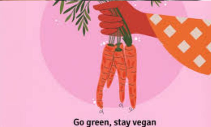 Un pasto a settimana nelle mense completamente vegetale