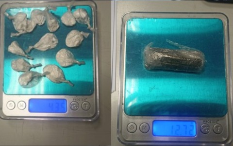 Aree verdi al setaccio: scovati hashish e cocaina grazie al fiuto del cane antidroga