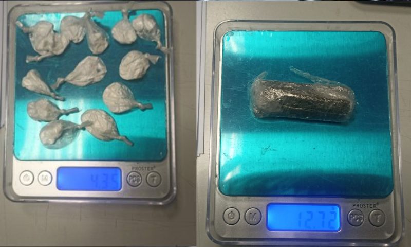 Aree verdi al setaccio: scovati hashish e cocaina grazie al fiuto del cane antidroga