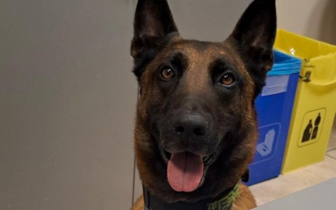 Polizia di Stato e Polizia locale contro lo spaccio di sostanze stupefacenti