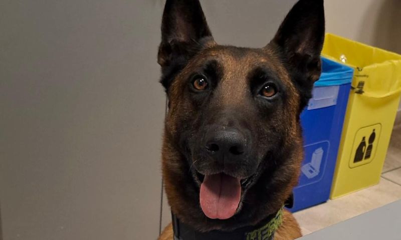 Polizia di Stato e Polizia locale contro lo spaccio di sostanze stupefacenti