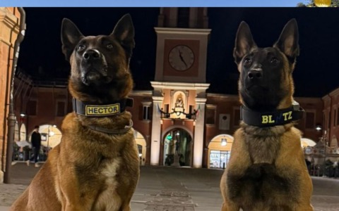 Spaccio al Parco Tassi: denunciato un giovane