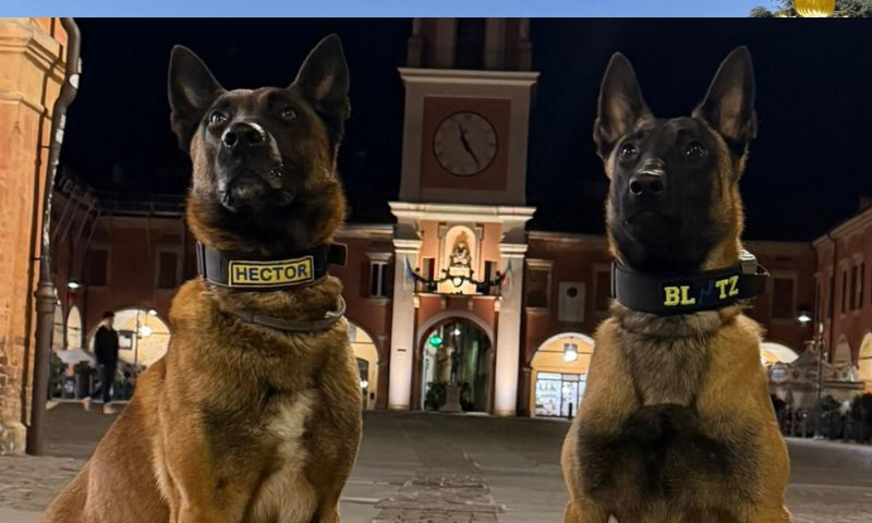 Spaccio al Parco Tassi: denunciato un giovane