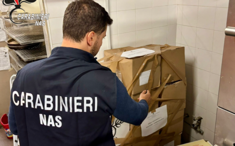 Ispezione Nas in un bar del Distretto Ceramico: trovata cucina infestata da topi e sporco