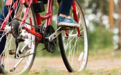 Lapam Confartigianato: indagine sulla filiera della bicicletta nel modenese