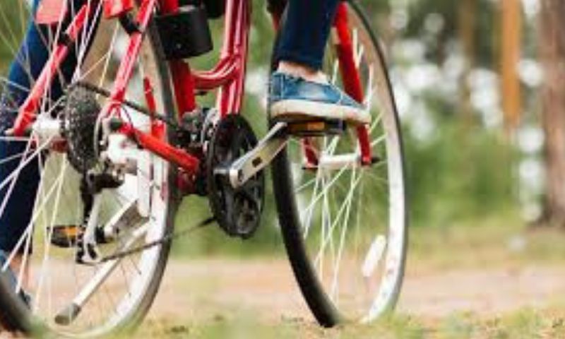 Lapam Confartigianato: indagine sulla filiera della bicicletta nel modenese