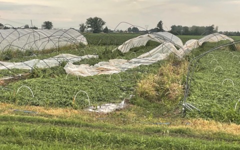 Maltempo: pesanti danni alla agricoltura modenese
