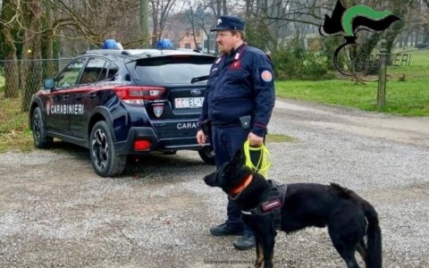 Contro le esche avvelenate un progetto regionale