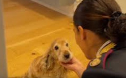 Nuovo spot contro l’abbandono degli animali durante il periodo estivo dalla Polizia di Stato