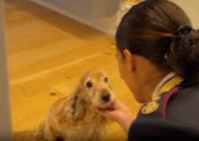 Nuovo spot contro l’abbandono degli animali durante il periodo estivo dalla Polizia di Stato