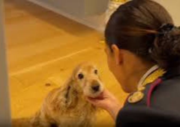 Nuovo spot contro l’abbandono degli animali durante il periodo estivo dalla Polizia di Stato