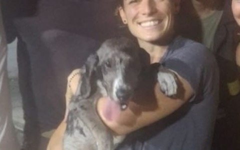 Cucciolo di cane rimane incastrato tra le sbarre di una recinzione: salvato dai vigili del fuoco