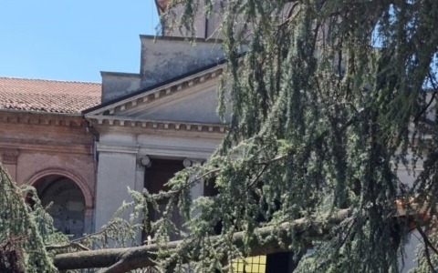 Maltempo: gravi danni al Cimitero Monumentale