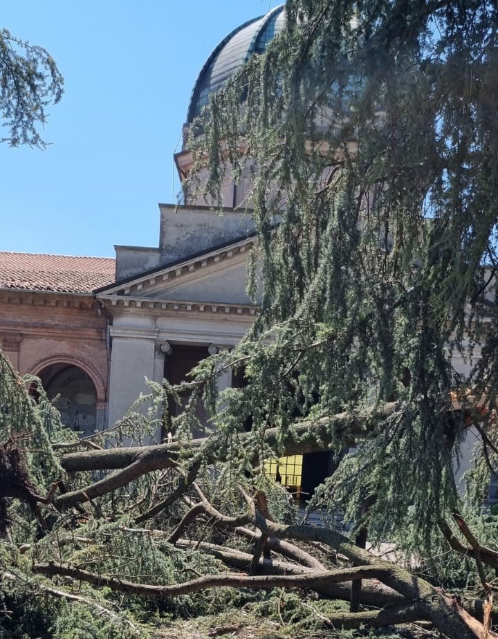 Maltempo: gravi danni al Cimitero Monumentale