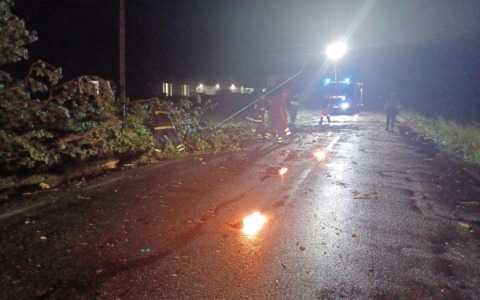 Nubifragio nel modenese: si registra un morto lungo le strade e tanti danni