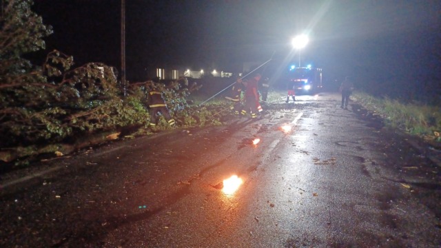 Nubifragio nel modenese: si registra un morto lungo le strade e tanti danni