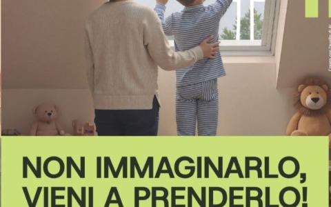 Piante gratuite per far crescere il patrimonio verde dell’Emilia-Romagna