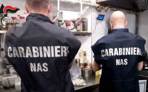 Nas Parma: Diverse carenze igieniche in un market etnico e in pizzeria