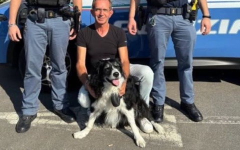 Agenti della Polizia di Stato salvano border collie rimasto intossicato da un incendio di un’abitazione